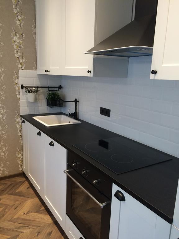Luxury Apartment Druskininkai Luaran gambar